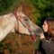 Belana und Bentley (1)