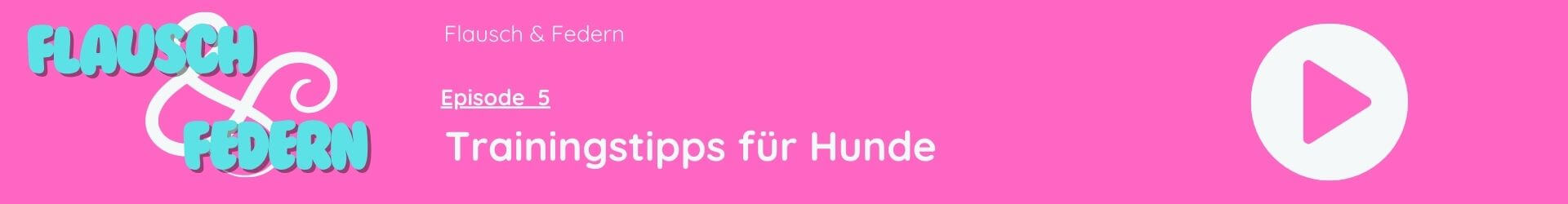 Logo Flausch & Federn S 1 E 5 Trainingstipps für Hunde