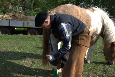 Hufbearbeitung SEEMOORHOF Therapiehof für Pferde