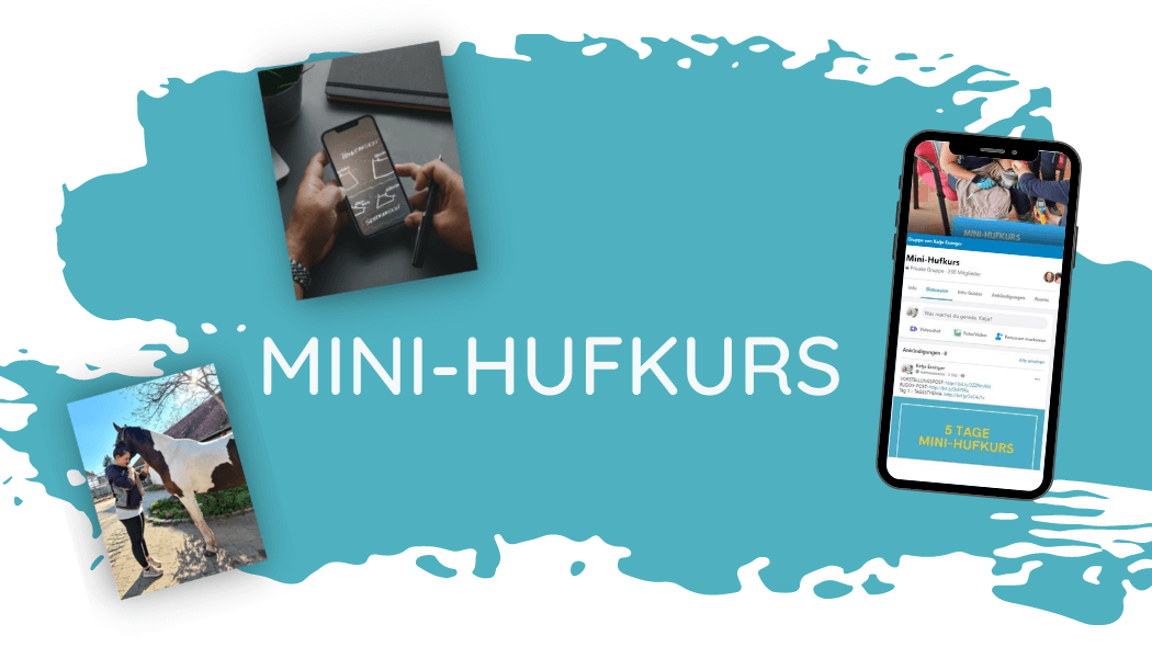 Mini-Hufkurs - verschiedene Fotos