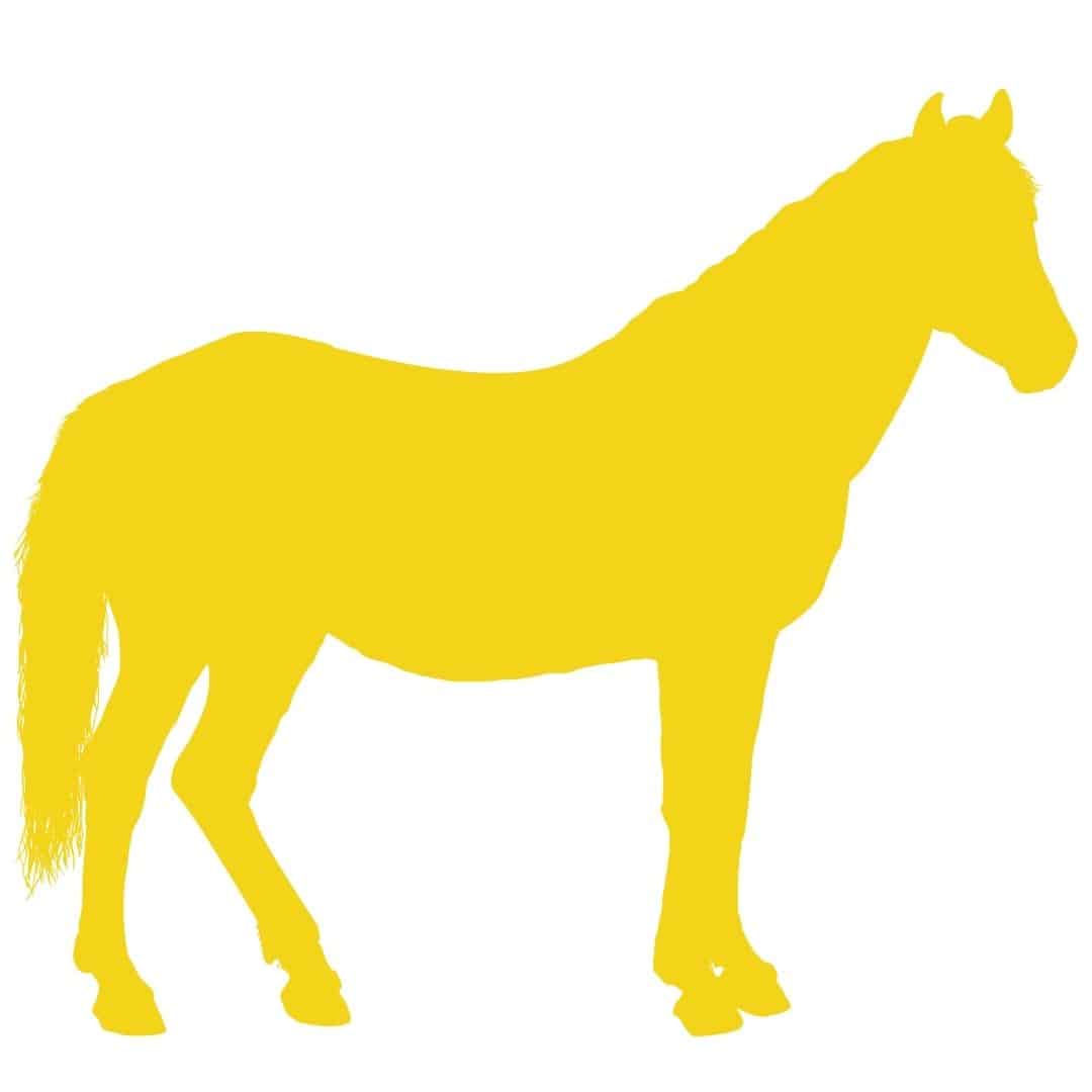 gelbes Pferd (1)
